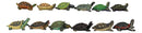 Set of 12 Marine Colorful 2" Mini Reptile Collectible Tortoise Species Figurines