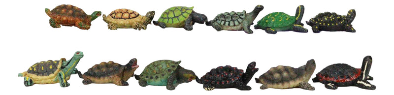 Set of 12 Marine Colorful 2" Mini Reptile Collectible Tortoise Species Figurines