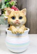 Lifelike Feline Kitty Orange Tabby Cat Blue Eyes In Pastel Artsy Pot Figurine