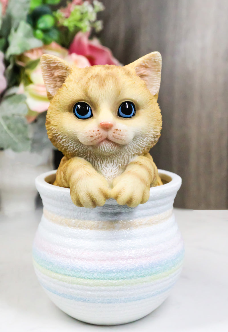 Lifelike Feline Kitty Orange Tabby Cat Blue Eyes In Pastel Artsy Pot Figurine