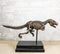 Jurassic T-Rex Tyrannosaurus Rex Dinosaur Fossil Skeleton Statue On Base Stand