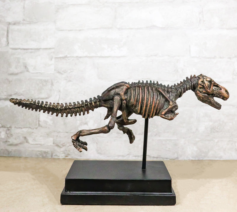 Jurassic T-Rex Tyrannosaurus Rex Dinosaur Fossil Skeleton Statue On Base Stand