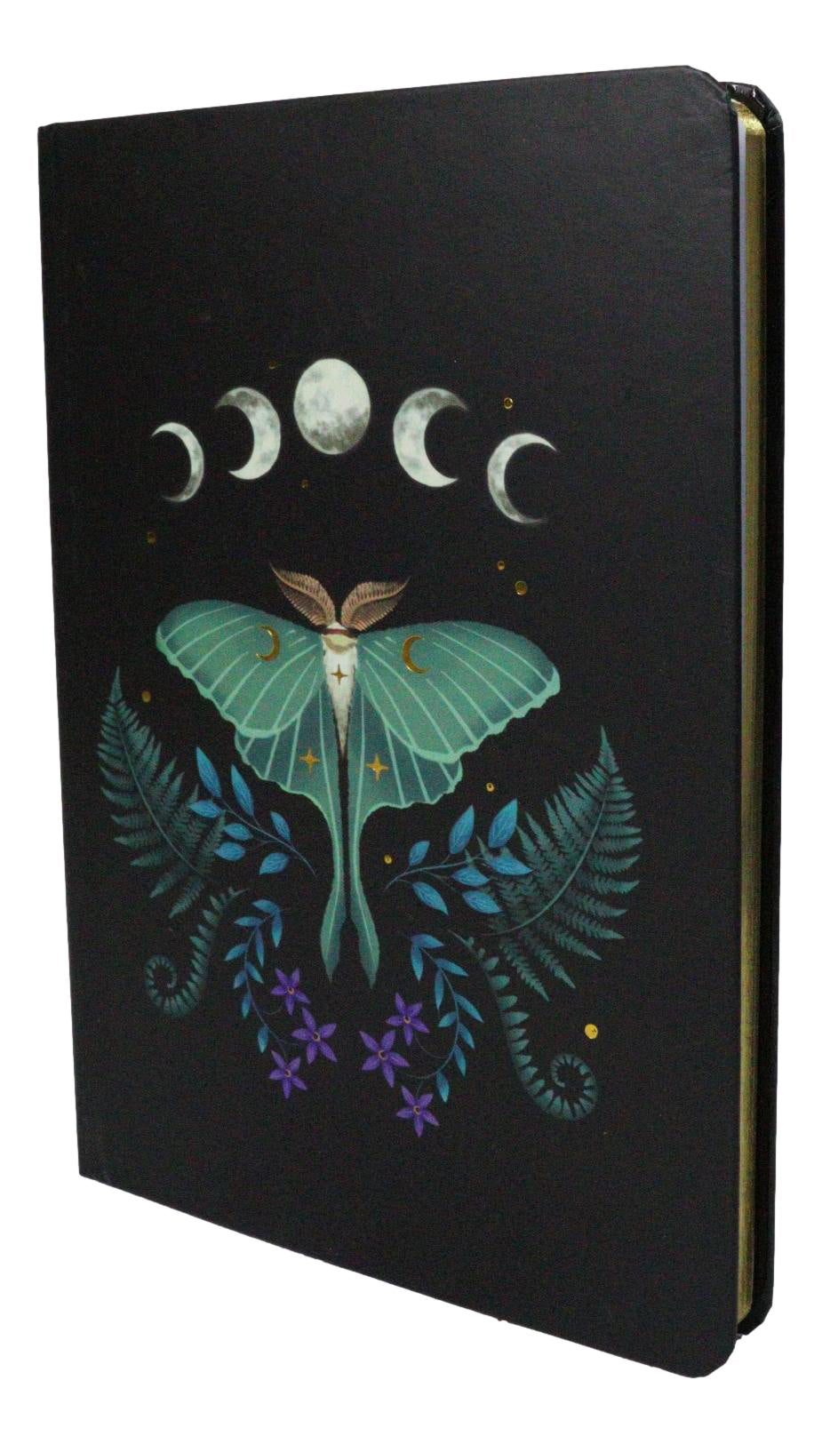 Dark Forest Lunar Phases Of The Moon Moth A5 Lined Journal Notebook 200 Pages