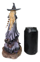 Amy Brown Fantasy Halloween Bewitching Autumn Witch With Broomstick Figurine