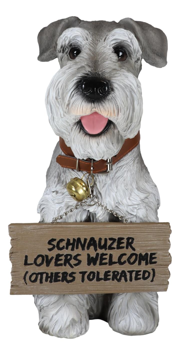 Adorable Grey Schnauzer Dog Sitting With Jingle Collar Greetings Sign Statue