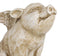 Rustic Country Farmhouse Hog Heavens Flying Baby Angel Pig Coin Money Bank