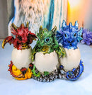Metallic Colorful See Hear Speak No Evil Baby Dragon Hatchling in Eggs Figurines