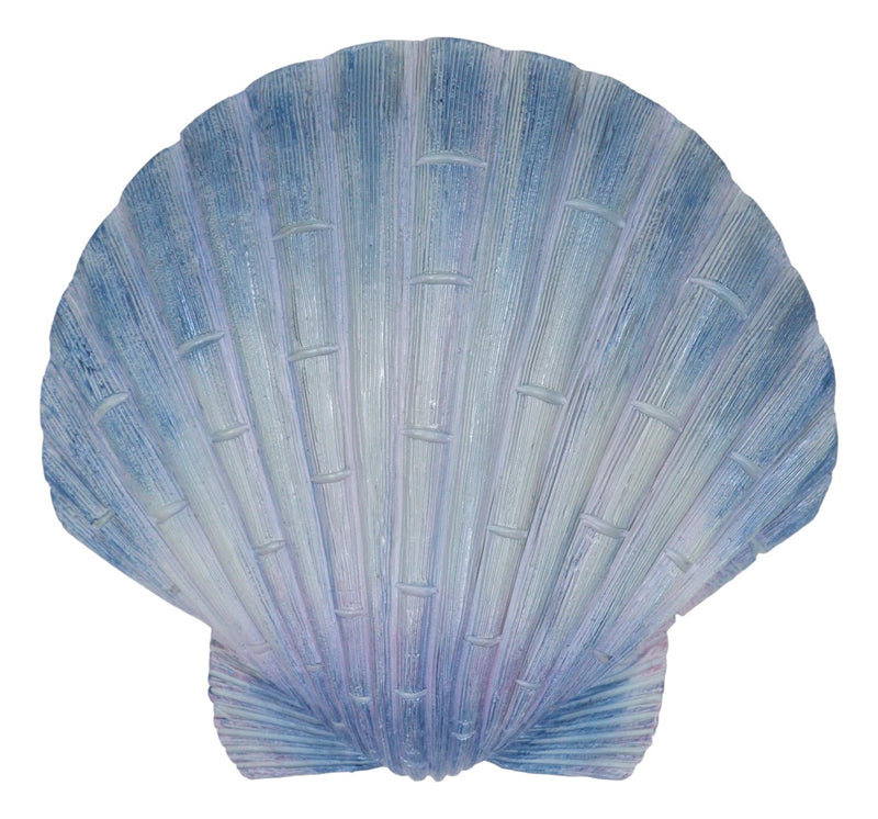 Ocean Nautical Marine Beach Aqua Blue Scallop Sea Shell Wall Plaque Decor 8.25"L