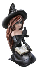 Gothic Pretty Enchantress Witch Holding Spell Book And Black Raven Crow Figurine