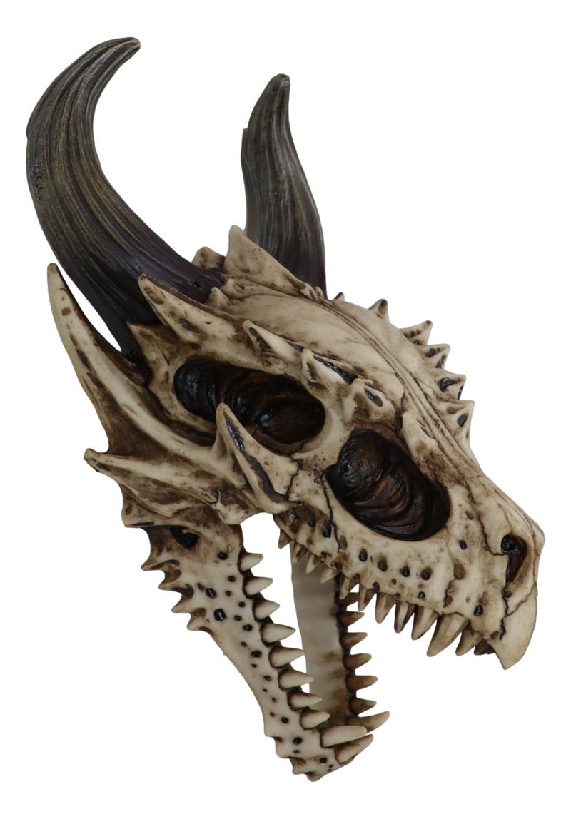 Jurassic Beowulf Gnarling Dragon Head Skull Realistic Fossil Wall Decor Figurine