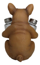 Adorable French Bulldog Hugging Spices Salt Pepper Shaker Holder Figurine by Gifts & Decors