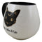 Wicca Magic Coffee Cats Feline Crescent Moon Cat With Gold Tone Ceramic Mug