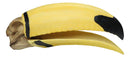 Realistic Faux Toco Toucan Skull with Yellow and Black Beak Sculpture 9" L