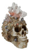 Marine Sea Explorer The Great Barrier Coral Reef Shells And Rocks Skull Figurine