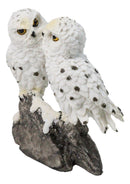 Snowy Owl Couple Figurine 5.5-Inch White Kissing Owl Statue on Snow-Covered Rock