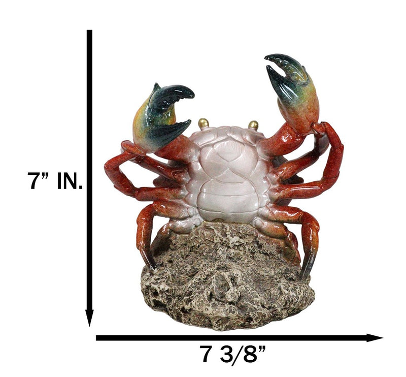 Ocean Marine Giant Stone Anthropod Crab With Black Claws Wine Bottle Holder