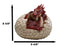 Ebros Large Smaug Red Baby Dragon Hatchling in Egg Statue 9.5" Long Dungeons Dragons Legends Fantasy Home and Garden Accent Decor Sculpture Medieval Renaissance Figurine Centerpiece