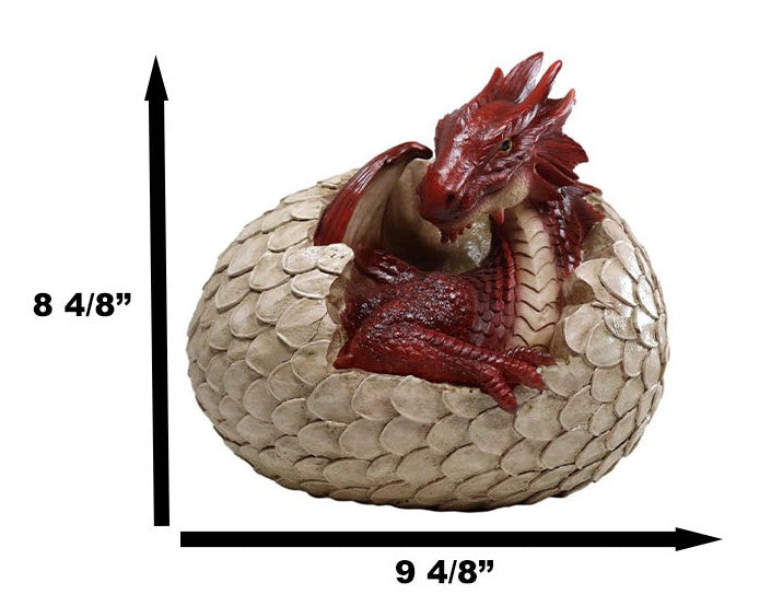 Ebros Large Smaug Red Baby Dragon Hatchling in Egg Statue 9.5" Long Dungeons Dragons Legends Fantasy Home and Garden Accent Decor Sculpture Medieval Renaissance Figurine Centerpiece