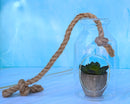 Farmhouse Rustic Country Hanging 7" H Glass Bottle Terrarium With Jute Strings