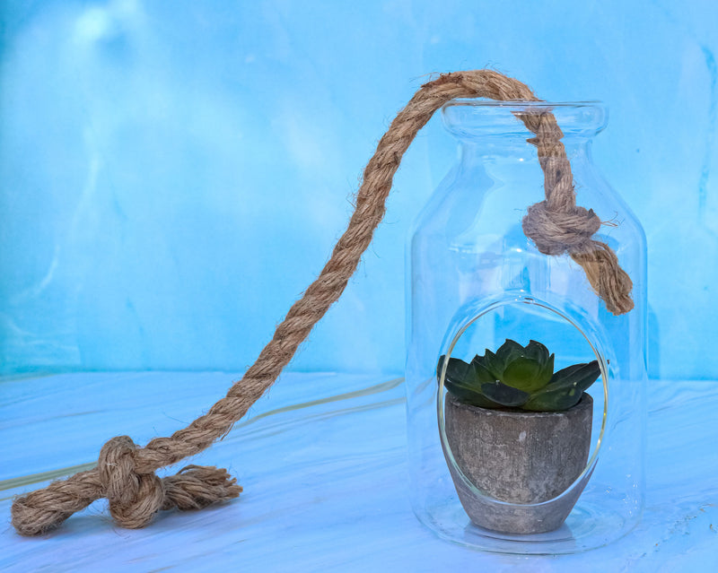 Farmhouse Rustic Country Hanging 7" H Glass Bottle Terrarium With Jute Strings