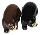 Rustic Forest Black Bear With Grizzly Bear Ceramic Salt And Pepper Shakers Set
