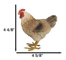 Rustic Western Country Farm Light Brown Chicken Hen Figurine 4.5" Tall