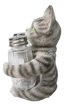 Gray Tabby Cat Salt and Pepper Glass Shakers Holder Set Cute Kitten Figurine