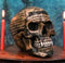 Vampire Dracula Tale Sacred Bram Stokers Novel Skull Figurine Skeleton Macabre
