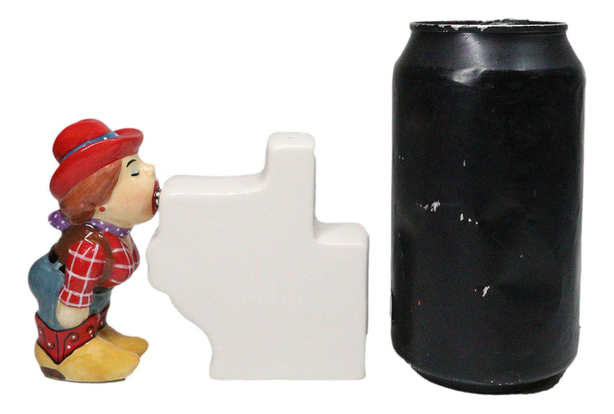 Western Cowgirl Kissing I Love Texas Sign Ceramic Salt And Pepper Shakers Set