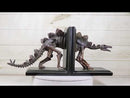 Museum Gallery Quality Prehistoric Stegosaurus Dinosaur Fossil Skeleton Bookends