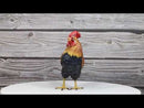 Rustic Western Proud Country Farm Colorful Chicken Rooster Figurine 5.25" Tall