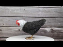 Rustic Western Country Iowa Blue Spotted White Breast Rooster Chicken Figurine