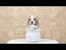 Realistic Tri Color Beagle Puppy Dog Figurine With Glass Eyes Pup In Pot