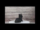 Lifelike Sitting Tuxedo Black and White Feline Kitten Cat Pet Pal Figurine