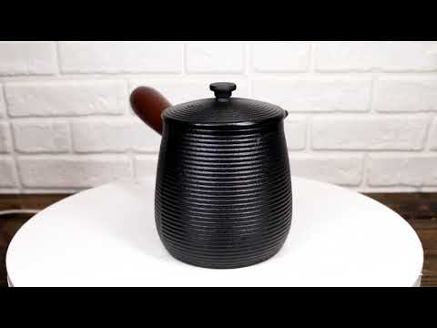 Kyusu Style Side Handle Spirals Cast Iron Teapot 18oz With Enameled Interior