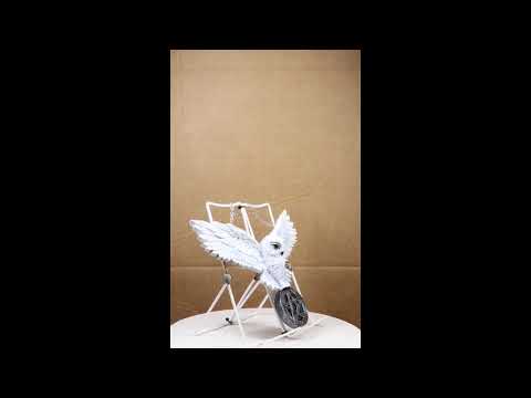 Snowy Owl and Pentagram Wall Plaque | Ebros Gift