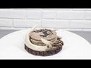 Rustic Western Forest Deer Antlers With Tree Rings Coasters And Holder Set
