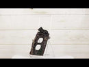 Set of 2 Rustic Forest Black Bears Climbing Tree Double Receptacle Outlet Covers