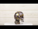 Metallurgy Currency Silver and Gold Coins Skull Face Money Coin Bank Figurine