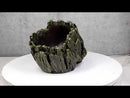 Mythical Greenman Tree Ent Skull Resin Bowl Garden Planter Figurine 7"Long