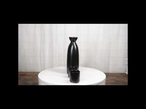 Minimalistic Black Kokuyo Porcelain Sake Carafe Flask 9oz & 4 Ochoko Cups Set