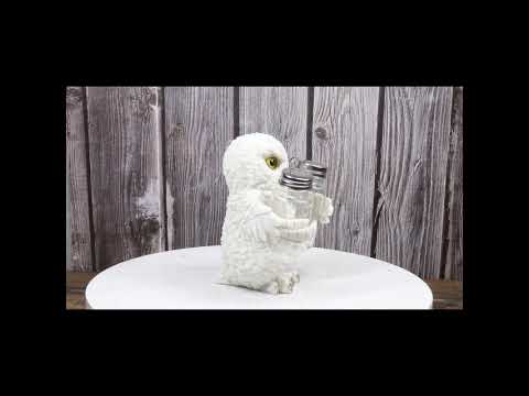 Snowy White Owl Salt and Pepper Shaker Holder | Ebros Gift