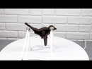 Set Of 2 Rustic Cast Iron Morning Song Bird On Branch Wall Coat Towel Hook Decor