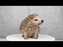 Realistic Faux Driftwood Finish Wild Spiny Mammal Hedgehog Animal Figurine 9"L