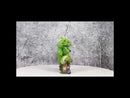 Fantasy Green Wyrmling Baby Dragon Riding A Wooden Log Cavebike Bicycle Figurine