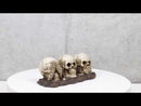 Ossuary Skeletons Gothic See Hear Speak No Evil Grinning Skulls Figurine 6.75"L