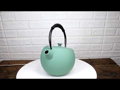 Pastel Green Minimalistic Tilted Round Cast Iron Teapot 28oz Tea Pot With Handle