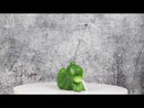 Corny Green Frog With Hello Sweet Cheeks Sign Decorative Toilet Topper Figurine
