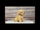Realistic Sitting Adorable Labrador Puppy Figurine 5.75"H Pet Pal Collectible