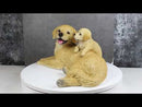Realistic Golden Retriever Mother Cuddling With Puppy Canine Family Figurine
